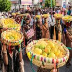 برگزاری جشنواره انبه و یاسمین گل در میناب