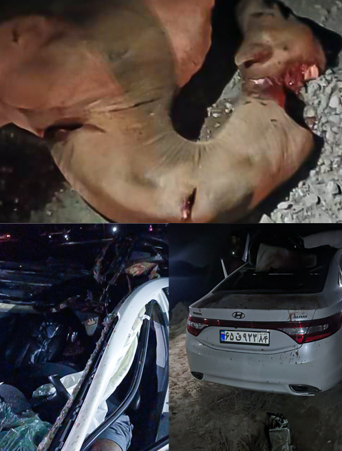 جاده‌ای که جان می‌گیرد؛ وقتی بی‌توجهی به ایمنی قربانی می‌گیرد