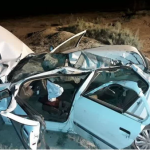 شترهای رهاشده، سایه مرگ بر جاده‌های قشم