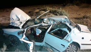 شترهای رهاشده، سایه مرگ بر جاده‌های قشم