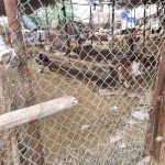 پلمب كشتارگاه دام بندرعباس