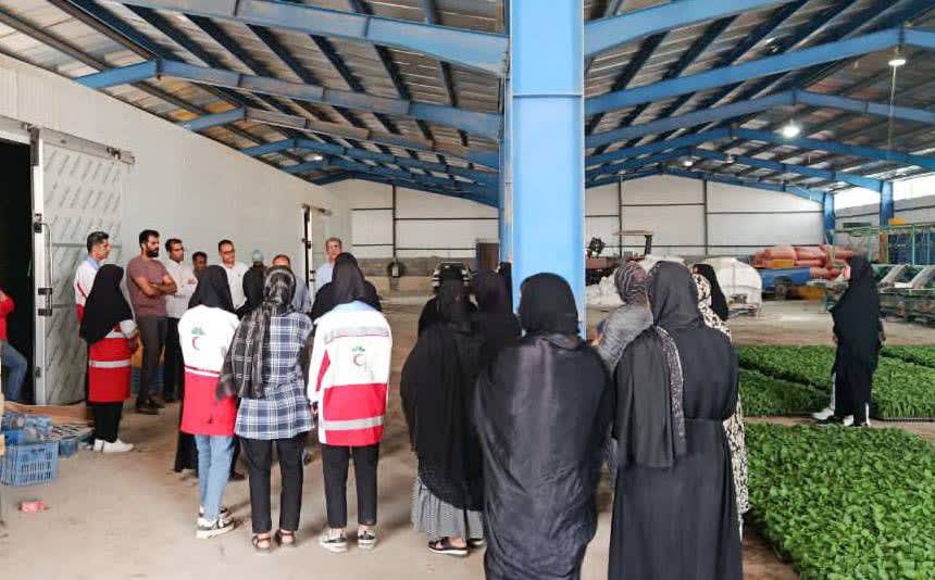 برگزار اردوی کارآفرینی ویژه دختران «طرح یاس»