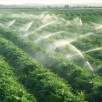 بهره برداری از ۵۴ پروژه بخش کشاورزی هرمزگان در دهه فجر