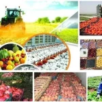 بهره برداری ۱۷ طرح کشاورزی در هرمزگان